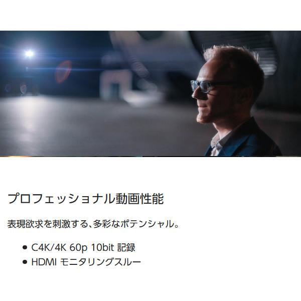 LUMIX Gシリーズ Panasonic パナソニック ミラーレス 一眼カメラ LUMIX Gシリーズ Panasonic パナソニック ミラーレス 一眼カメラ