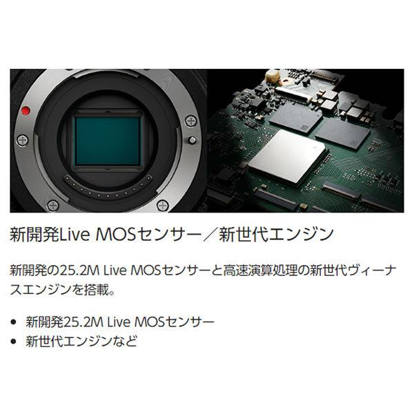 パナソニック  ミラーレスデジタル一眼カメラ LUMIX DC-GH6L 標準ズームレンズキット/srm｜gioncard｜03