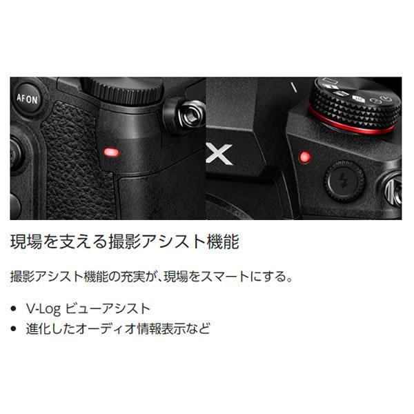 Panasonic パナソニック ミラーレスデジタル一眼カメラ LUMIX DC Panasonic パナソニック ミラーレスデジタル一眼カメラ LUMIX DC
