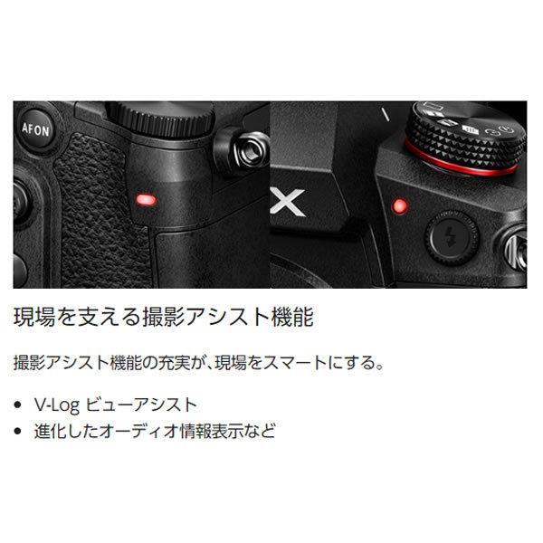 パナソニック  ミラーレスデジタル一眼カメラ LUMIX DC-GH6L 標準ズームレンズキット/srm｜gioncard｜06