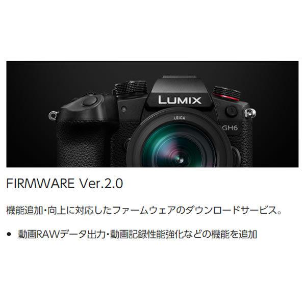 Panasonic パナソニック ミラーレスデジタル一眼カメラ LUMIX DC Panasonic パナソニック ミラーレスデジタル一眼カメラ LUMIX DC