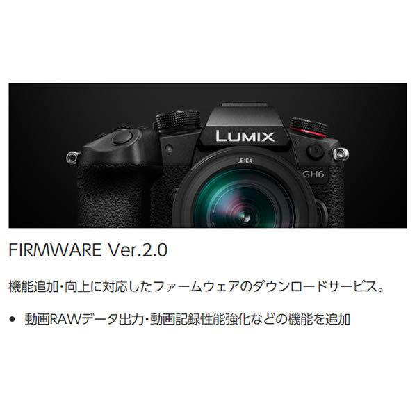 パナソニック  ミラーレスデジタル一眼カメラ LUMIX DC-GH6L 標準ズームレンズキット/srm｜gioncard｜09