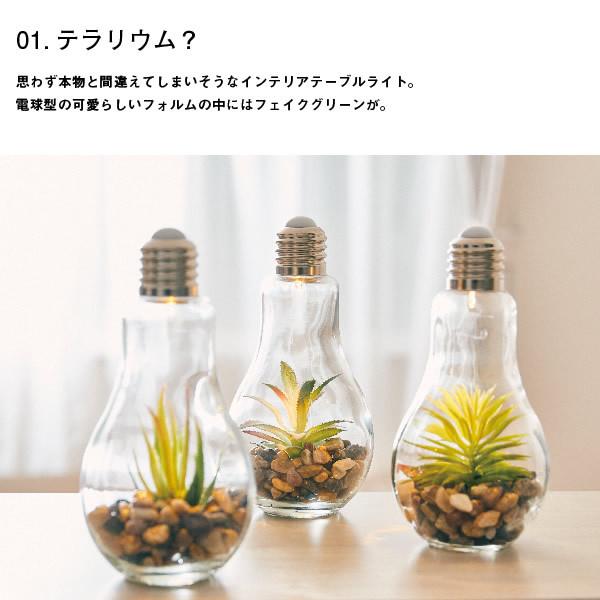 En Fance 電球型インテリアライト B Terrarium テラリウム EF-RL02B｜gioncard｜02