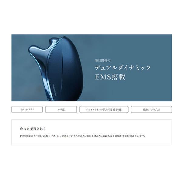 お値下げ パナソニック　フォト ブライトショット　EH-SP85-K/srm 【H3283813793】(16422円)