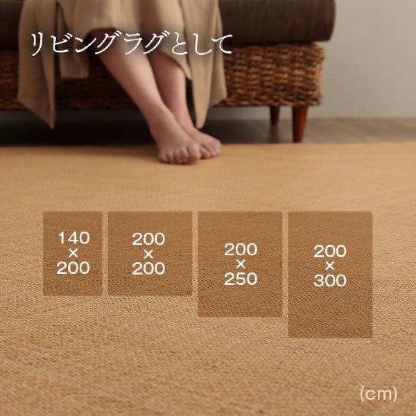 ラグ カーペット 自然素材 イケヒコ 籐 敷 アジアン ラタン ひんやり あじろ織り 200x250cm IKE-5209680/srm_6