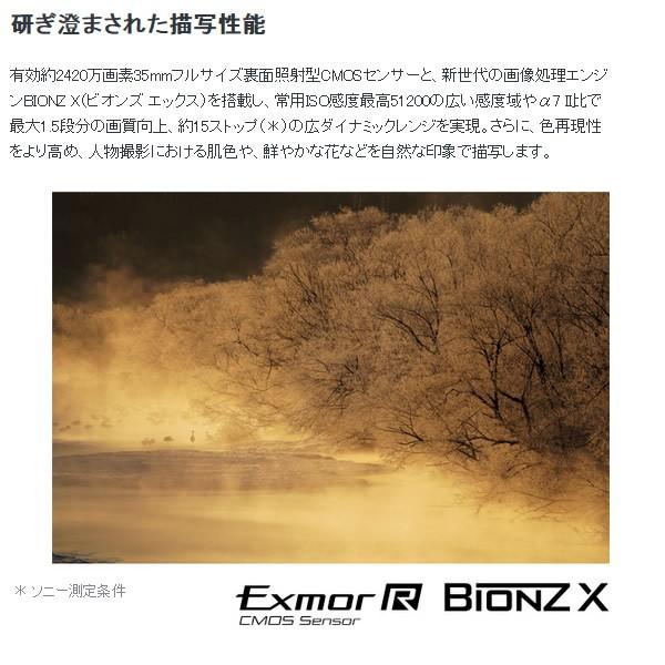ソニー ミラーレス 一眼レフ カメラ α7 III ILCE-7M3 ボディ/srm_1