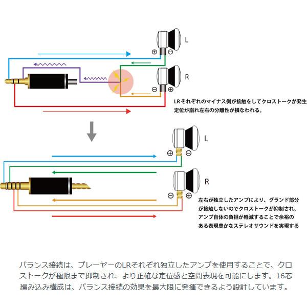 ワイズテック NOBUNAGA Labs 澪標 極 みおつくし 4.4mm5極バランス/MMCX NLS-MIO-KWM/srmの画像