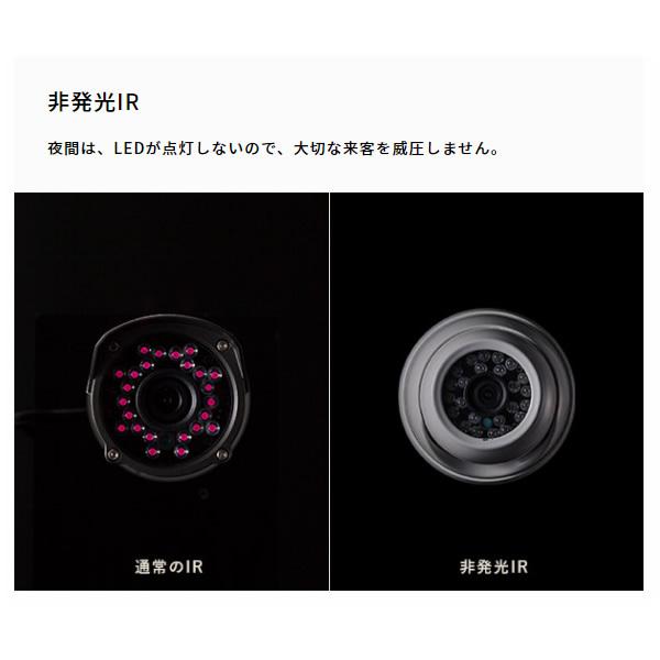 NSK 130万画素非発光暗視小型ドームカメラ NS-F202C/srm : スーパー