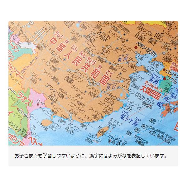 レイメイ藤井 行政タイプ地球儀（組立て式） OYV24/srm_2