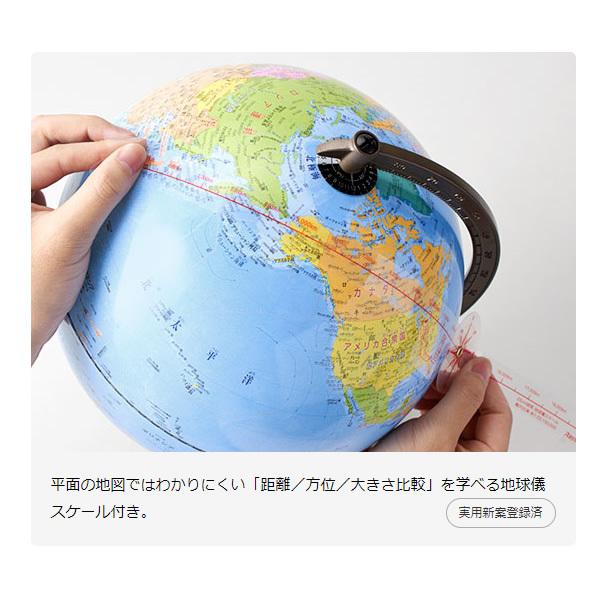 レイメイ藤井 行政タイプ地球儀（組立て式） OYV24/srm_4