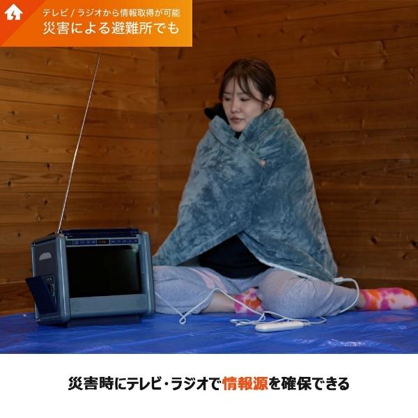 ポータブル電源 ダイニチ電子 Wizz 10インチテレビ搭載 ラジオ搭載