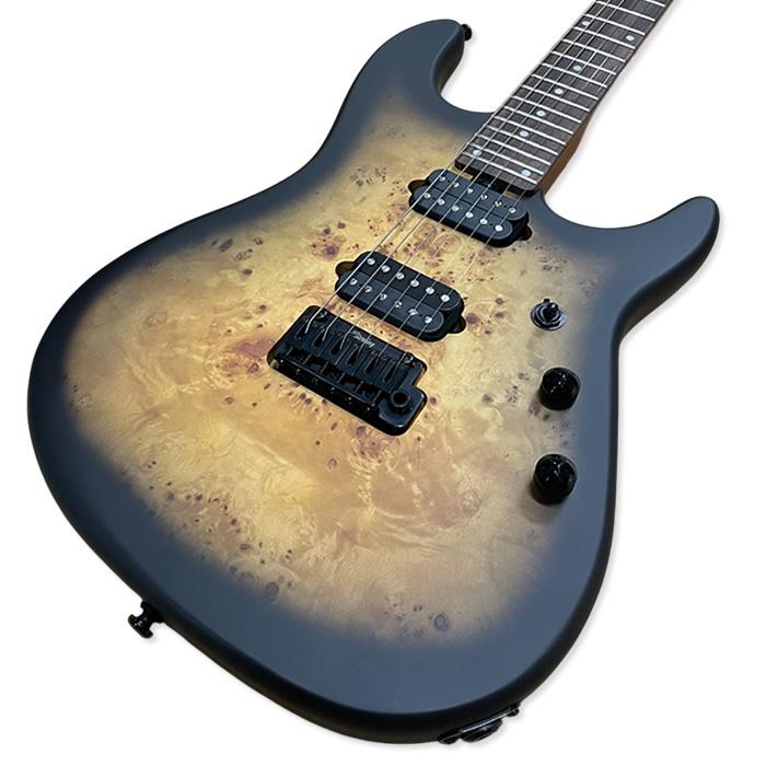 STERLING by Musicman Richardson6 Natural Poplar Burl Burst