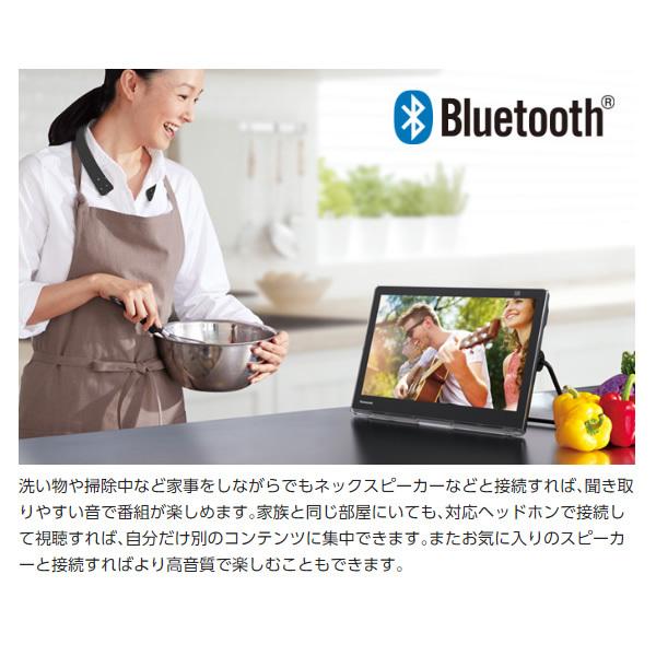 Panasonic ポータブルテレビ パナソニック プライベートビエラ