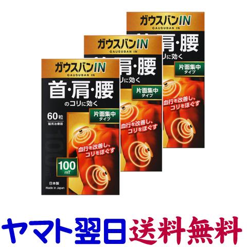 ガウスバンIN 60粒 ×3個セット 片面集中タイプ 100ミリステラ 磁気治療