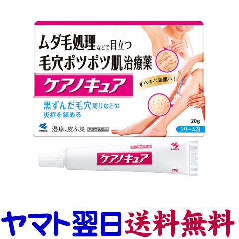 ケアノキュア 20g 黒ずんだ毛穴ポツポツ肌に 小林製薬 : くすりの京都