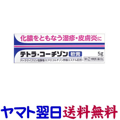 テトラ・コーチゾン軟膏 5g ヒドロコルチゾン酢酸エステル 抗生物質と