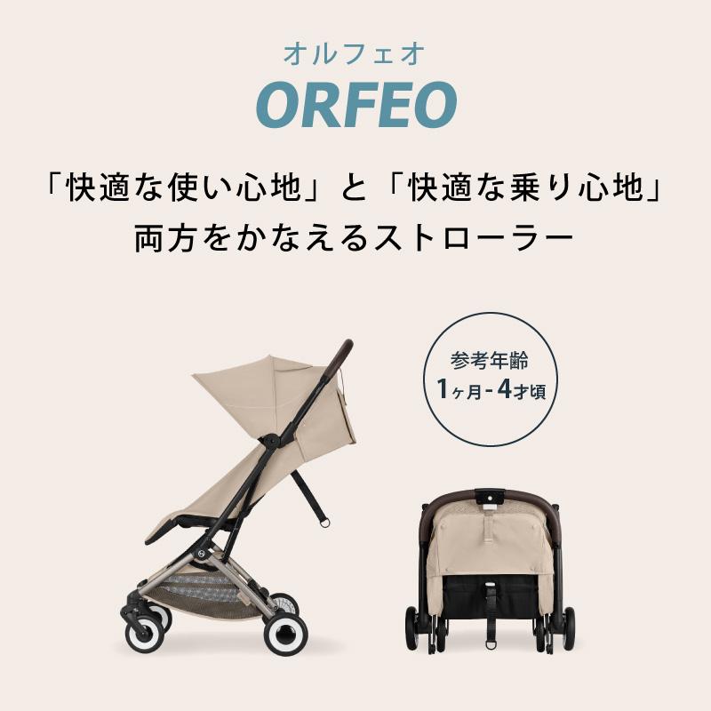サイベックス オルフェオ 2026  バンパーバー セット ORFEOの画像