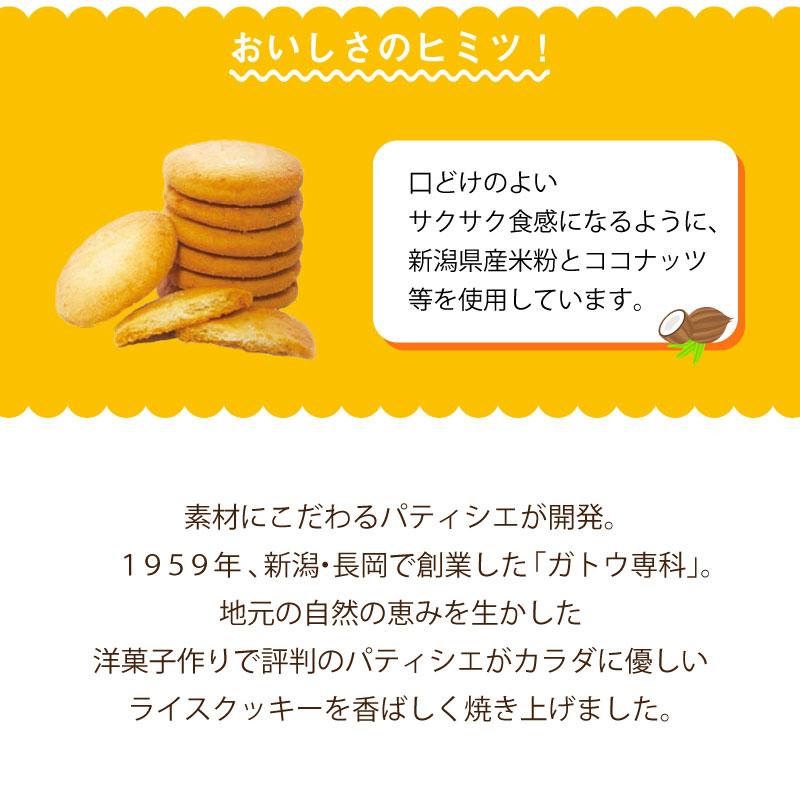 【上品で大人気♪】5年保存 非常食 お菓子 尾西食品 尾西のライスクッキー ココナッツ風味 8枚入/1箱 48箱セット