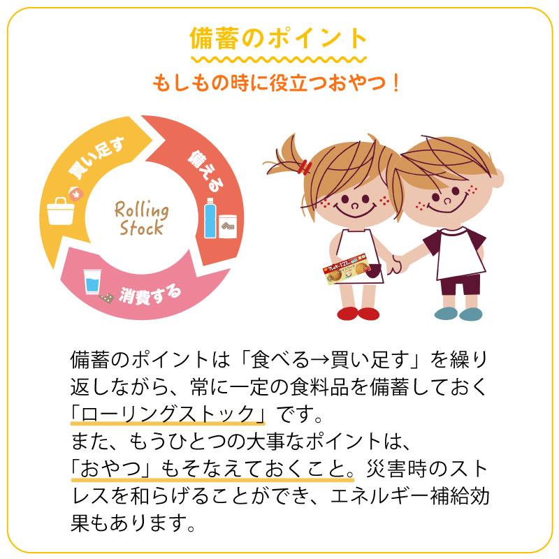 【上品で大人気♪】5年保存 非常食 お菓子 尾西食品 尾西のライスクッキー ココナッツ風味 8枚入/1箱 48箱セット