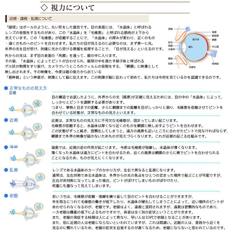 爆買 【 WOC（ワック）】 活眼器 OPUS-7（オーパス・セブン） : GISE