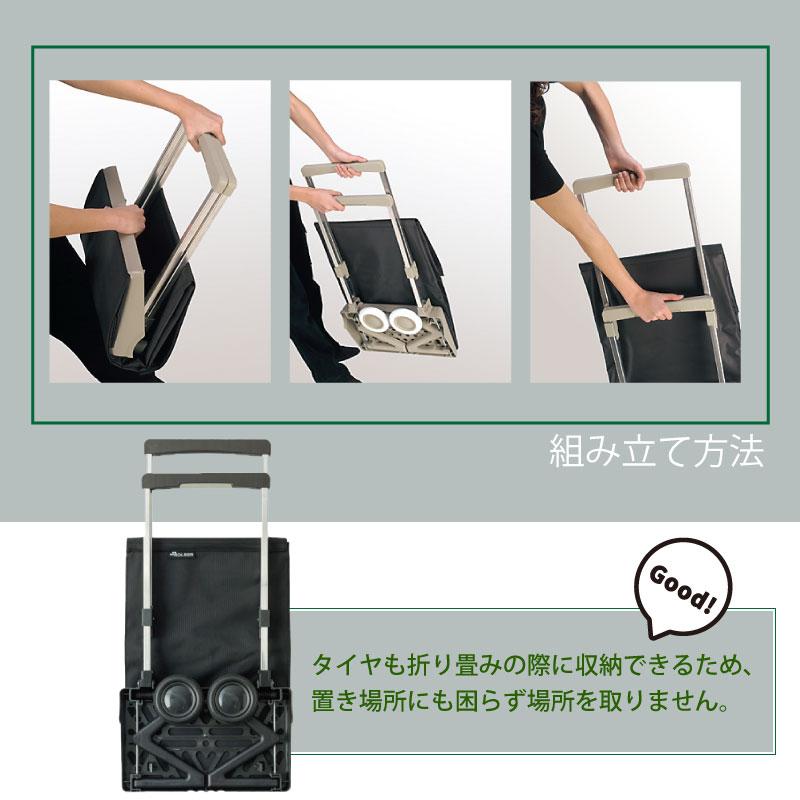 ROLSER ロルサー PLEGAMATIC プレガマティック ショッピング