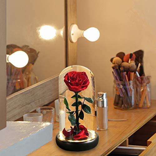 大人気 美女と野獣のバラ 色あせないバラはユニークなバレンタインギフト ガラスや花びらです 結婚式 記念日 誕生日パーティー 母の日のギフトに最適です Offsportswear Com