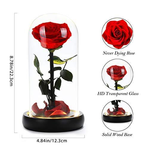 大人気 美女と野獣のバラ 色あせないバラはユニークなバレンタインギフト ガラスや花びらです 結婚式 記念日 誕生日パーティー 母の日のギフトに最適です Offsportswear Com