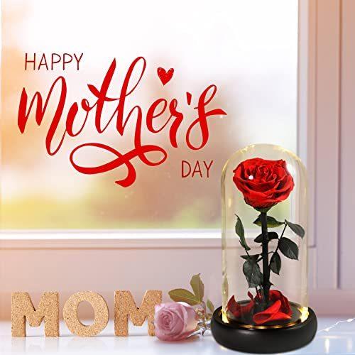 大人気 美女と野獣のバラ 色あせないバラはユニークなバレンタインギフト ガラスや花びらです 結婚式 記念日 誕生日パーティー 母の日のギフトに最適です Offsportswear Com