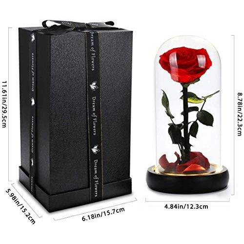 大人気 美女と野獣のバラ 色あせないバラはユニークなバレンタインギフト ガラスや花びらです 結婚式 記念日 誕生日パーティー 母の日のギフトに最適です Offsportswear Com