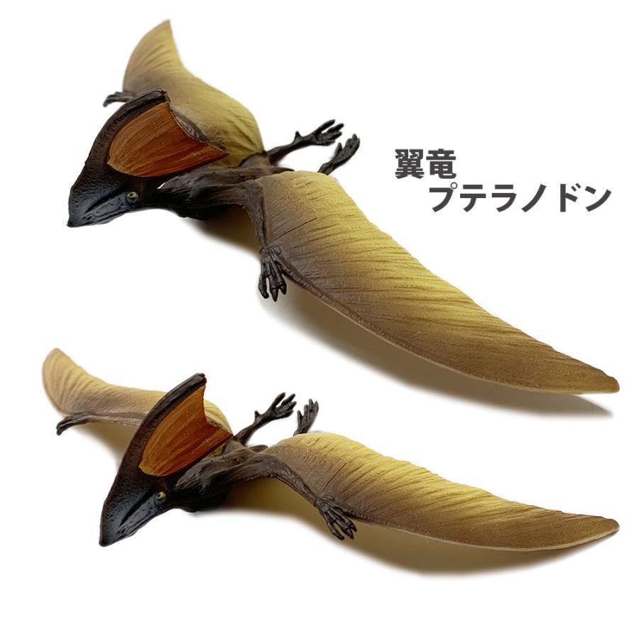 恐竜 おもちゃ カルノタウルス プテラノドン 肉食恐竜フィギュア cm 大サイズ恐竜 ダイナソー リアルなモデル 本格的なフィギュア 誕生日 クリスマス Dino 025 コサージュ専門店 Girlish 通販 Yahoo ショッピング
