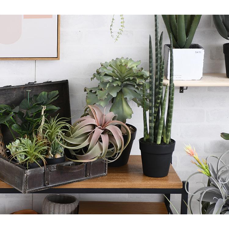 サンスベリア 観葉植物 フェイクグリーン ボタニカル 造花 おしゃれ