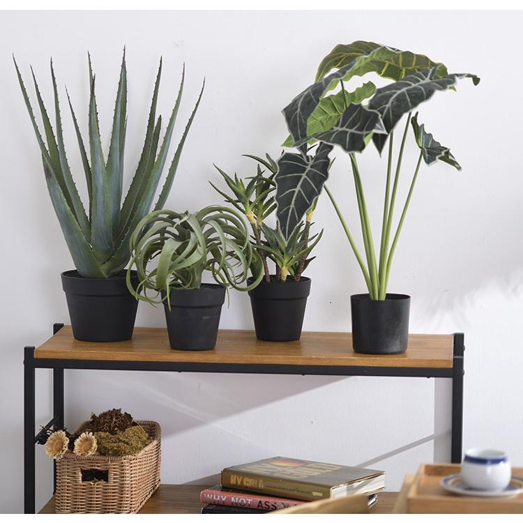 【フェイクグリーン】Brown. ブラウン アロカシア プランターカバー付き 観葉植物 フェイクグリーン ボタニカル 造花 おしゃれ ポット Brown
