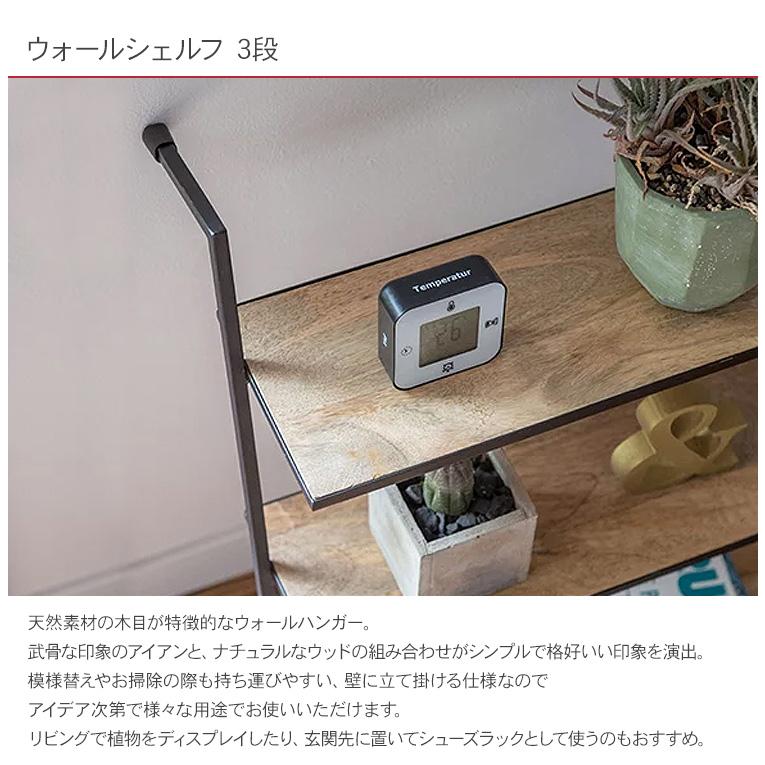 ラダーラック 立て掛け アイアン スリム おしゃれ ウォールシェルフ 3