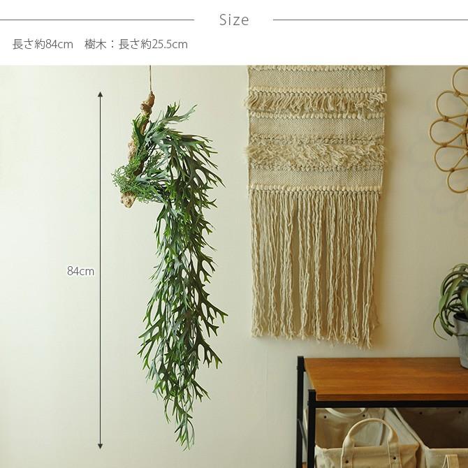 観葉植物 フェイクグリーン イミテーションフラワー 造花 ディスプレイ Brown ブラウン フェイクグリーン ビカクシダ 着生 ブルー Ga Uminecco ウミネッコ 通販 Yahoo ショッピング