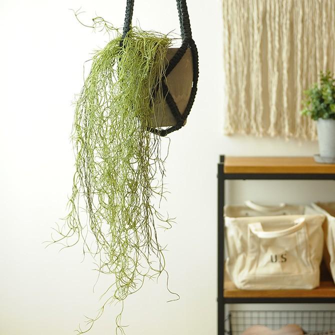 観葉植物 フェイクグリーン イミテーションフラワー 造花 ディスプレイ Brown ブラウン フェイクグリーン スパニッシュモス ハンギングブッシュ グリーン 77cm Ga 013 Uminecco ウミネッコ 通販 Yahoo ショッピング