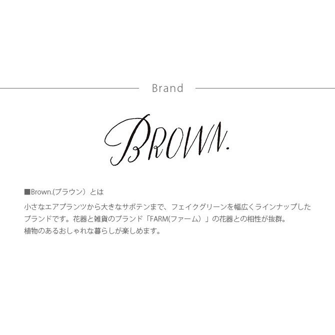 観葉植物 フェイクグリーン イミテーションフラワー 造花 ディスプレイ Brown. ブラウン フェイクグリーン ユーフォルビア ポット 31｜girlyapartment｜06