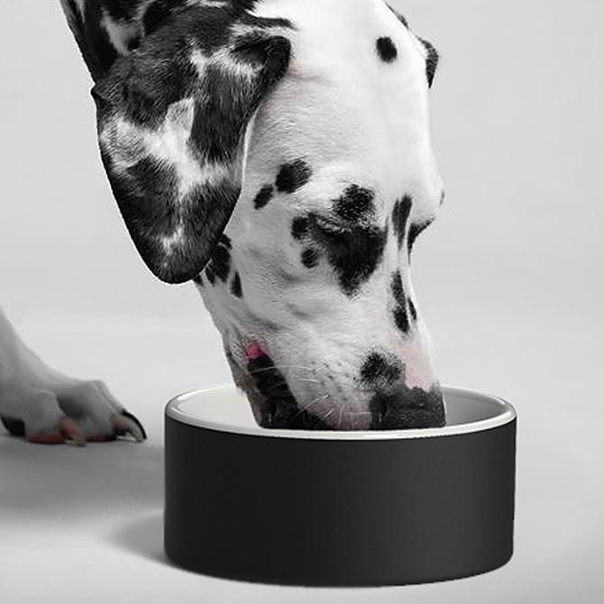 ペット 食器 犬 猫 皿 Magisso マギッソ ウォーターボウル Lサイズ Csr Starapazova Org