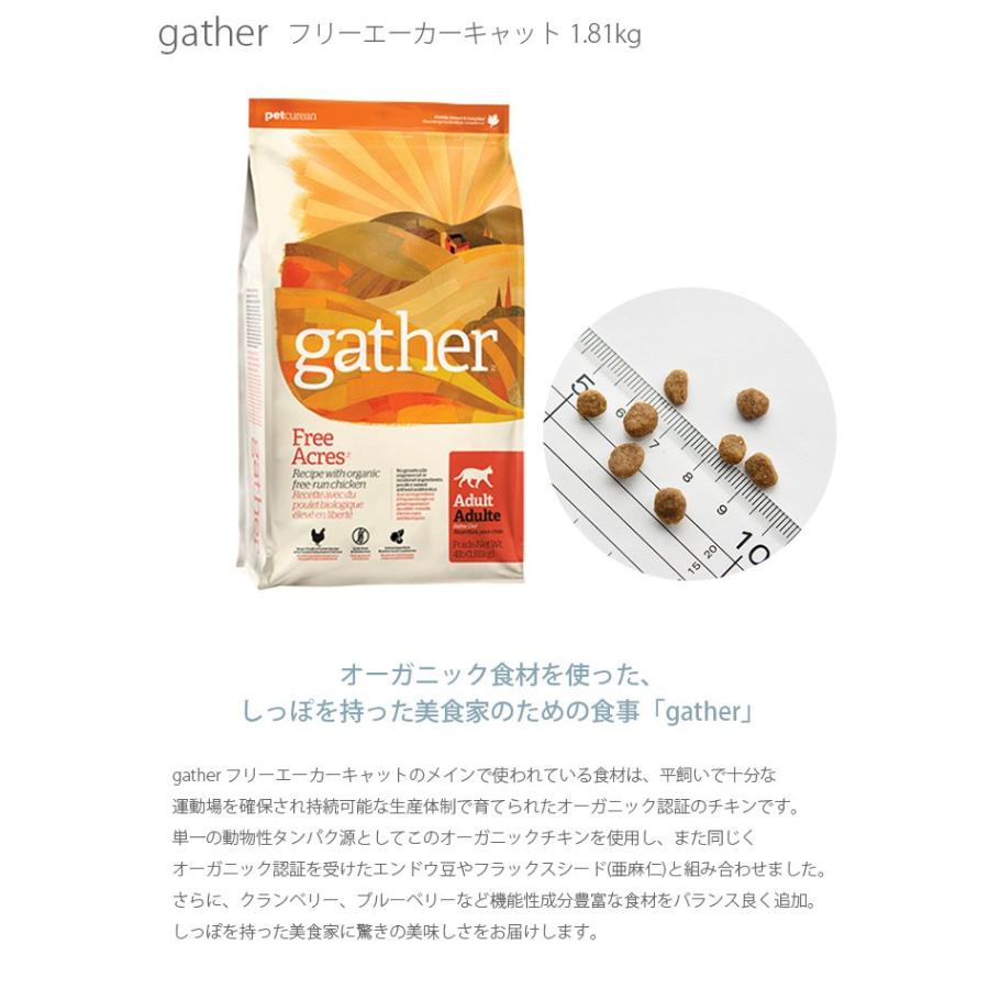キャットフード ドライ オーガニック グルテンフリー 穀物不使用 Gather ギャザー フリーエーカーキャット 1 81kg Ga Uminecco ウミネッコ 通販 Yahoo ショッピング