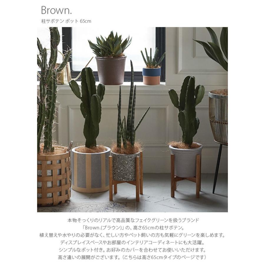 柱サボテン フェイクグリーン おしゃれ ポット 人工観葉植物 Brown ブラウン 柱サボテン ポット 65cm Ga Uminecco ウミネッコ 通販 Yahoo ショッピング