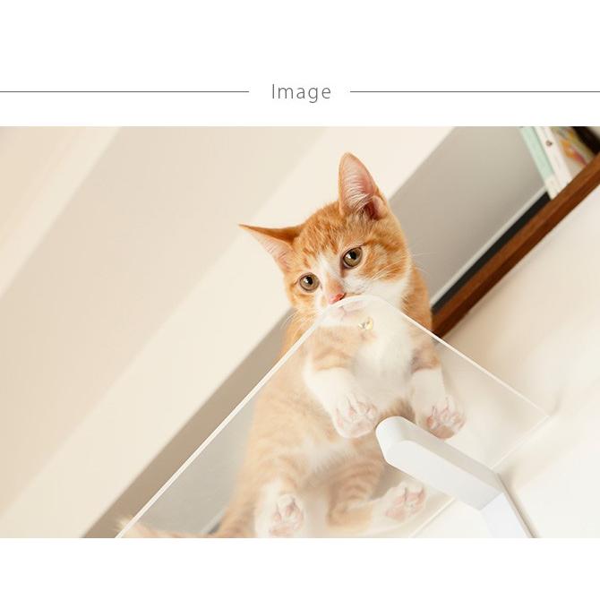 猫 賃貸 小さい穴 キャットステップ キャットウォーク 壁 DIY
