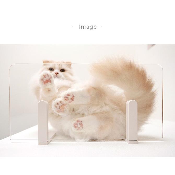 猫 賃貸 小さい穴 キャットステップ キャットウォーク 壁 DIY