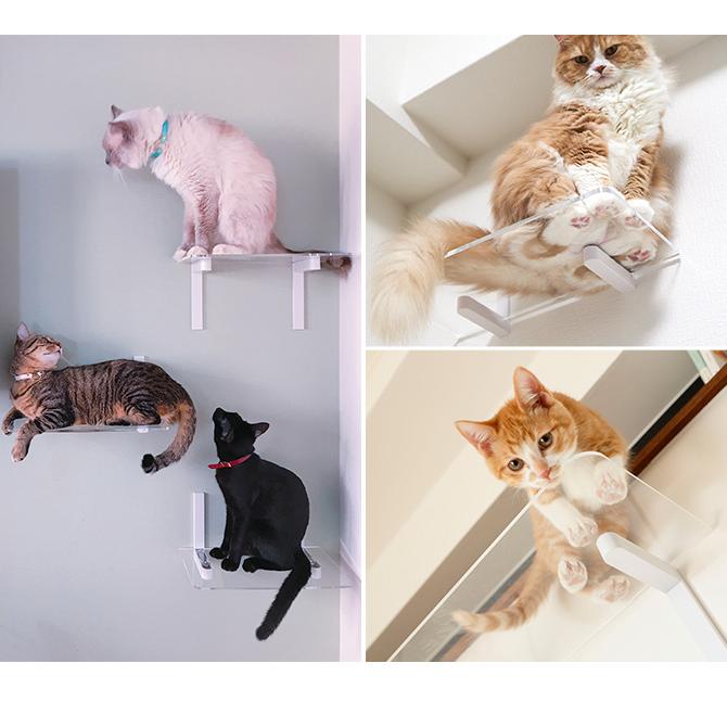 猫 賃貸 小さい穴 キャットステップ キャットウォーク 壁 DIY 猫 賃貸 小さい穴 キャットステップ キャットウォーク 壁 DIY