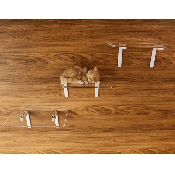 猫 賃貸 小さい穴 キャットステップ キャットウォーク 壁 DIY 猫 賃貸 小さい穴 キャットステップ キャットウォーク 壁 DIY