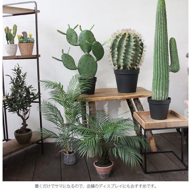 フェイクグリーン サボテン おしゃれ 大型 カクタス フェイクグリーン バニーカクタス ポット Ga Uminecco ウミネッコ 通販 Yahoo ショッピング