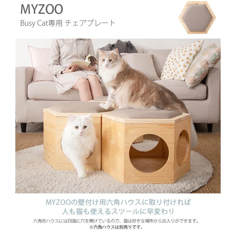 猫 ハウス スツール 六角 木製 キャットステップ MYZOO マイズー Busy