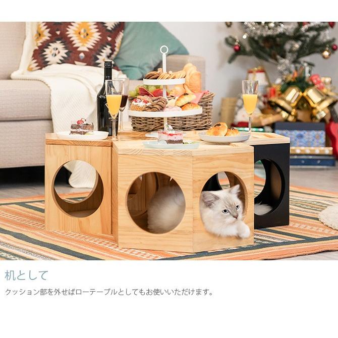 猫 ハウス スツール 六角 木製 キャットステップ MYZOO マイズー Busy