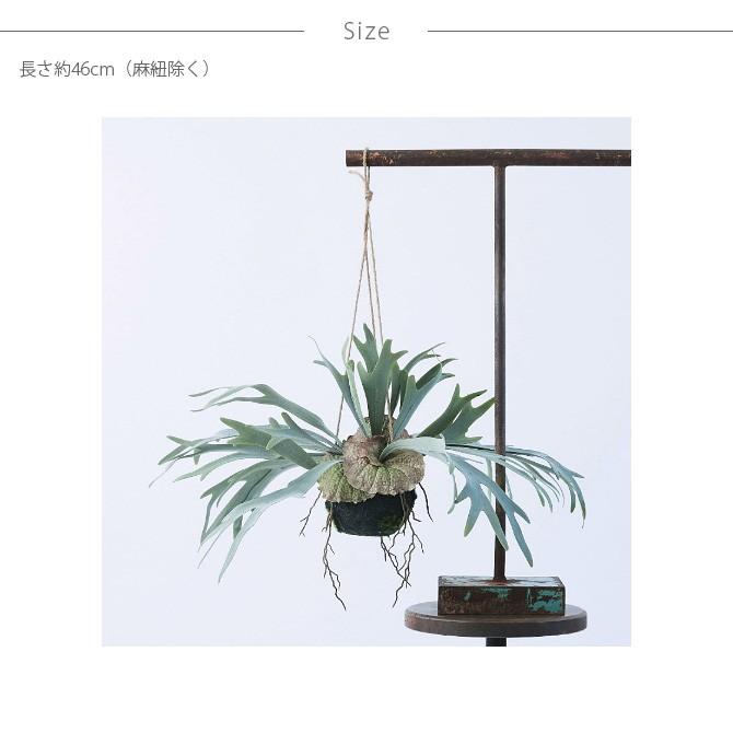 フェイクグリーン おしゃれ ハンギング シダ コケ Brown ブラウン フェイクグリーン ビカクシダ ハンギングボール 46 Ga 112 Uminecco ウミネッコ 通販 Yahoo ショッピング