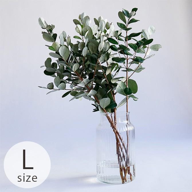 フラワーベース 花瓶 ガラス シンプル おしゃれ Horn Please ホーン プリーズ リューズガラス クーレライン フラワーベース アプローズ L Ga Uminecco ウミネッコ 通販 Yahoo ショッピング