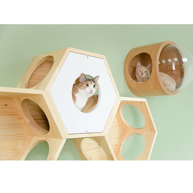 猫 ハウス スツール 六角 木製 キャットステップ MYZOO マイズー Busy