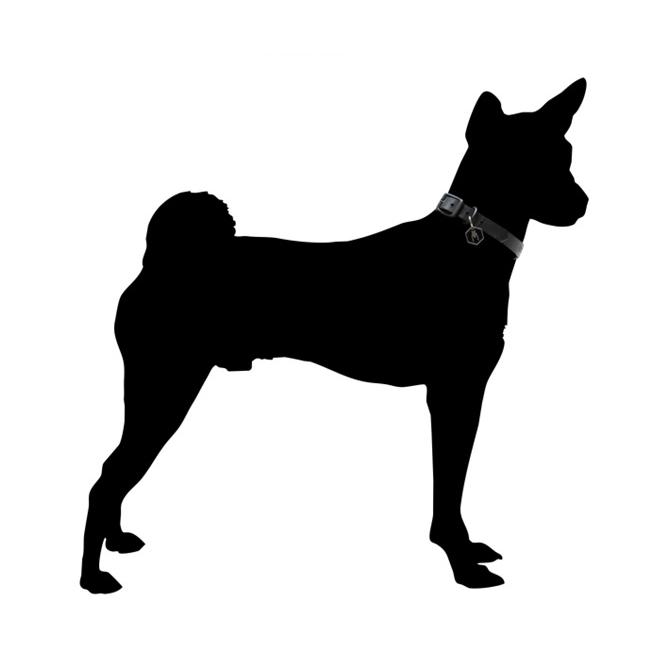犬 首輪 カラー 本革 中型犬用 Wolfgang ウルフギャング Latigo Leather Collar 犬用レザーカラー M 36 45cm Ga Uminecco ウミネッコ 通販 Yahoo ショッピング
